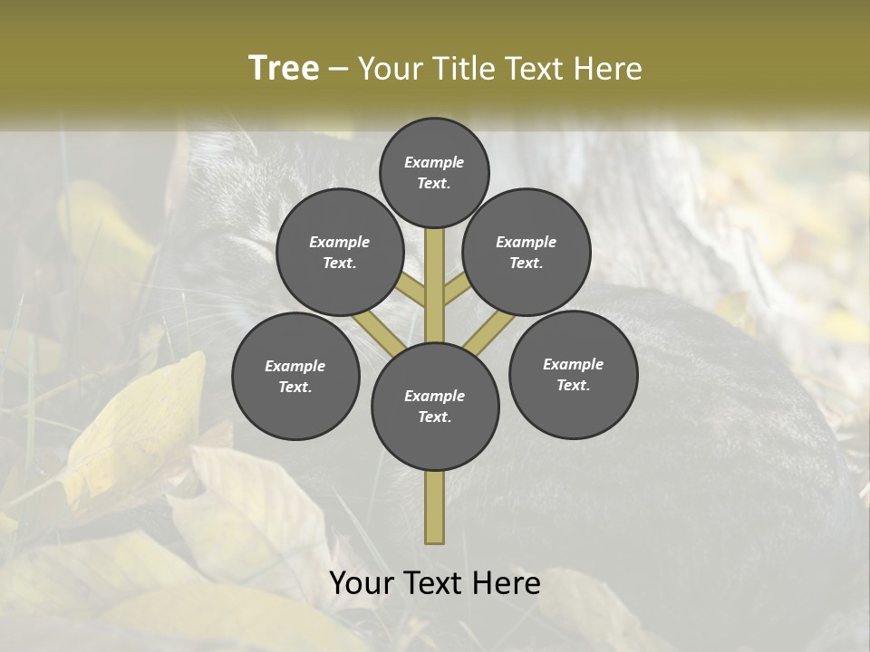 A Cat Laying On The Ground Next To A Tree PowerPoint Template