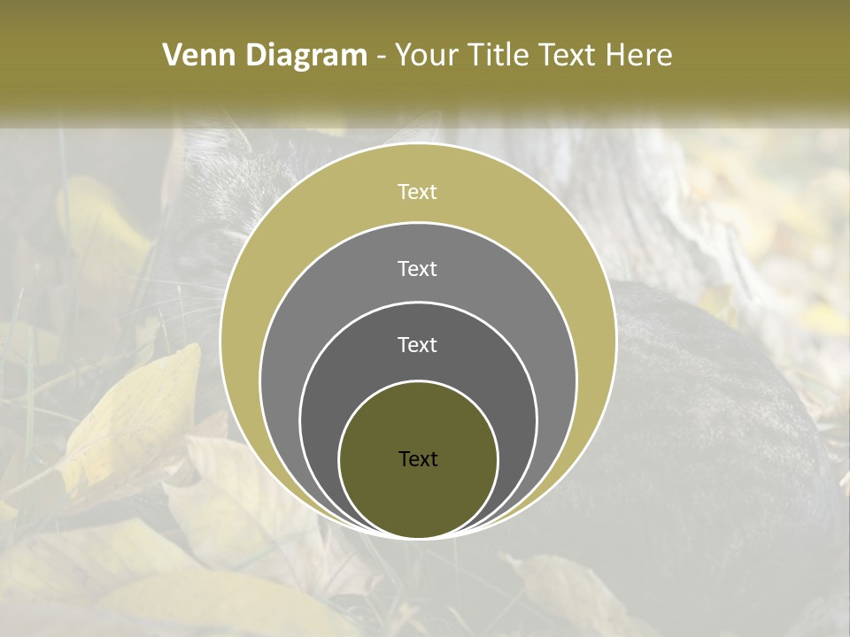 A Cat Laying On The Ground Next To A Tree PowerPoint Template