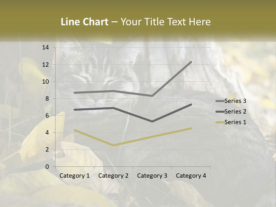 A Cat Laying On The Ground Next To A Tree PowerPoint Template