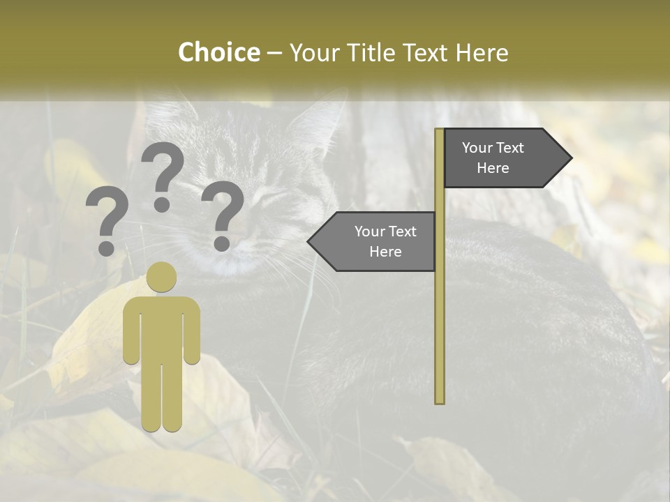 A Cat Laying On The Ground Next To A Tree PowerPoint Template