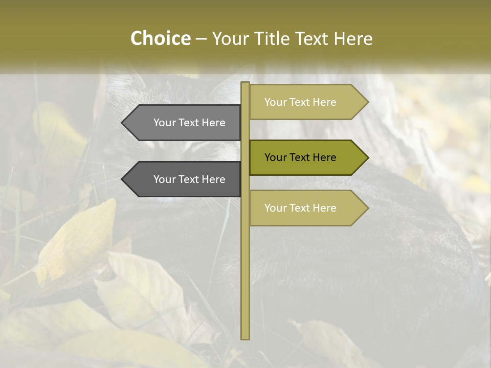 A Cat Laying On The Ground Next To A Tree PowerPoint Template