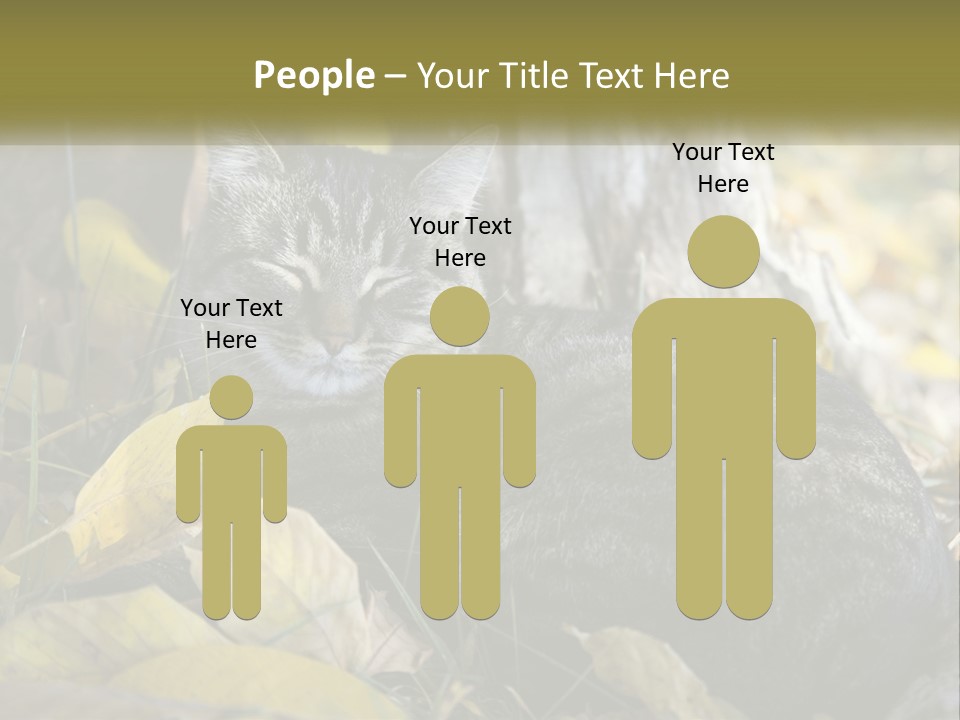 A Cat Laying On The Ground Next To A Tree PowerPoint Template