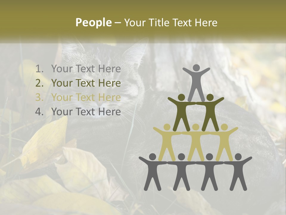 A Cat Laying On The Ground Next To A Tree PowerPoint Template