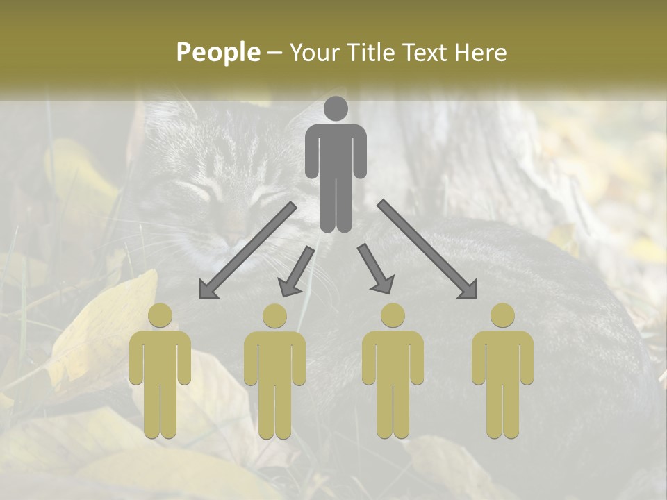 A Cat Laying On The Ground Next To A Tree PowerPoint Template