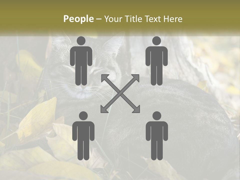 A Cat Laying On The Ground Next To A Tree PowerPoint Template