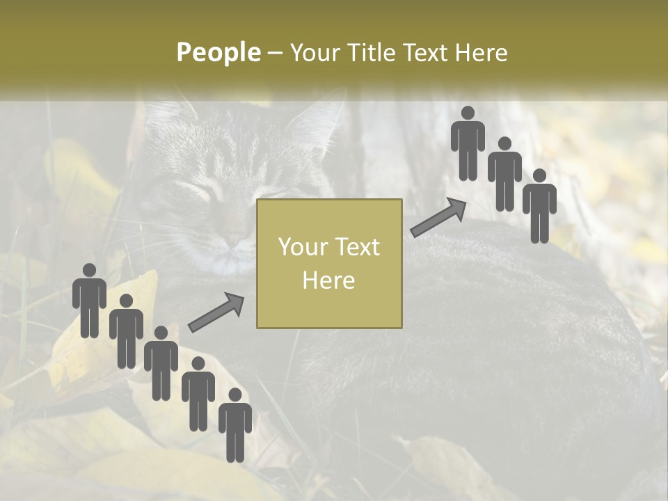 A Cat Laying On The Ground Next To A Tree PowerPoint Template