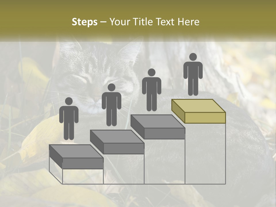 A Cat Laying On The Ground Next To A Tree PowerPoint Template