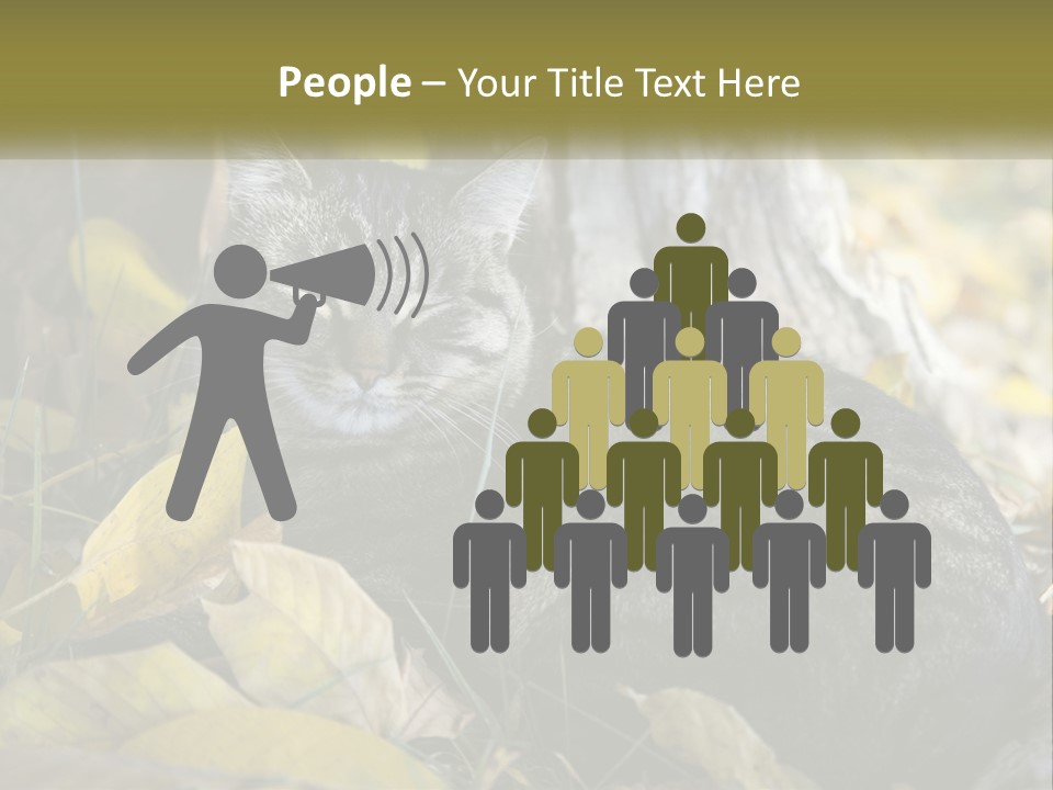 A Cat Laying On The Ground Next To A Tree PowerPoint Template