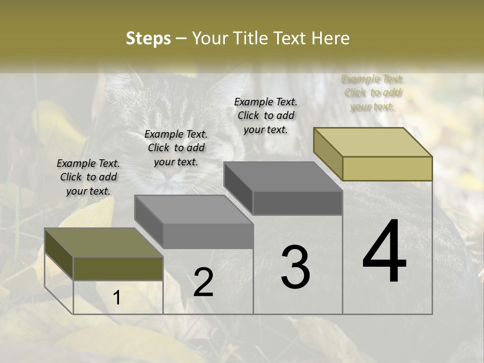 A Cat Laying On The Ground Next To A Tree PowerPoint Template