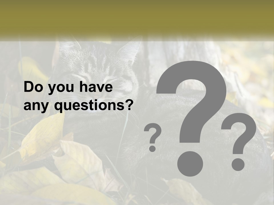 A Cat Laying On The Ground Next To A Tree PowerPoint Template