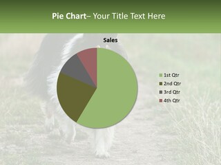 A Dog Is Walking Down A Dirt Path PowerPoint Template