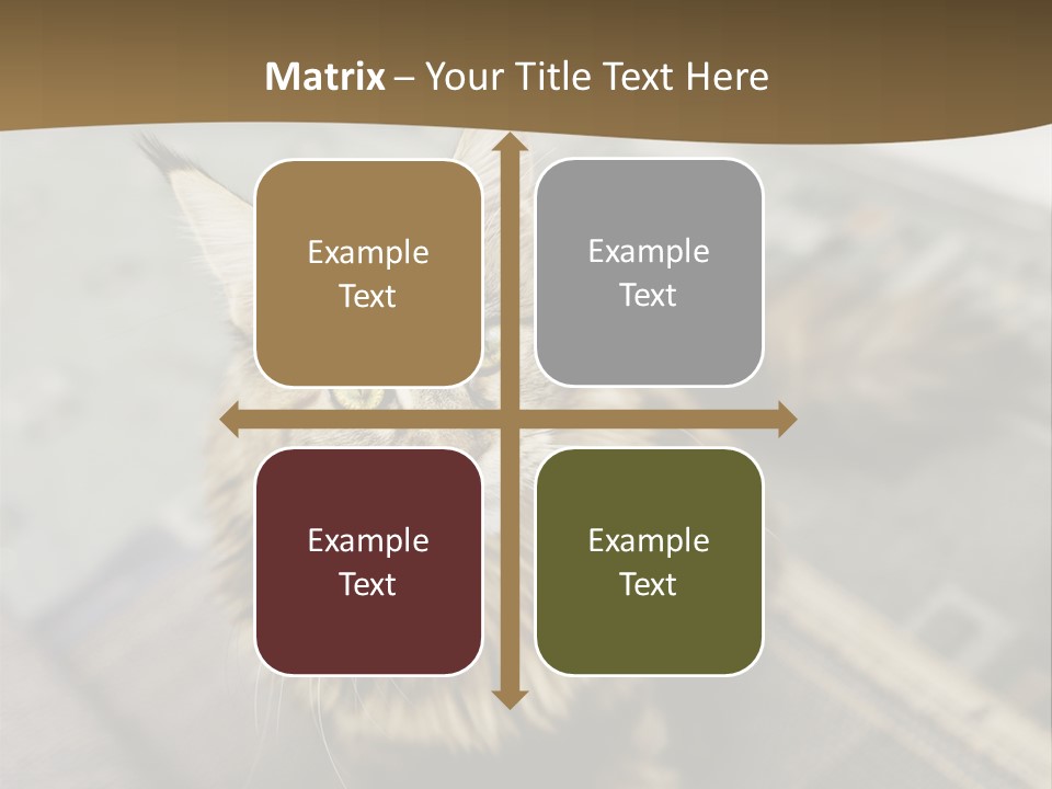 A Cat Sitting On Top Of A Rug In A Room PowerPoint Template