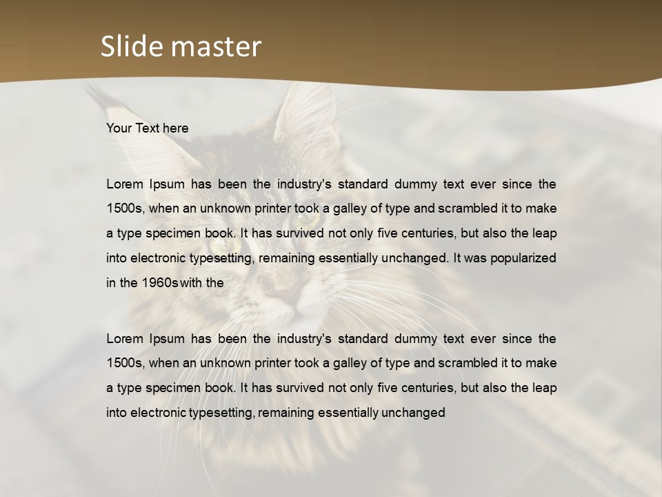 A Cat Sitting On Top Of A Rug In A Room PowerPoint Template