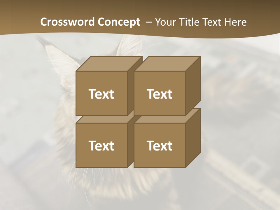 A Cat Sitting On Top Of A Rug In A Room PowerPoint Template