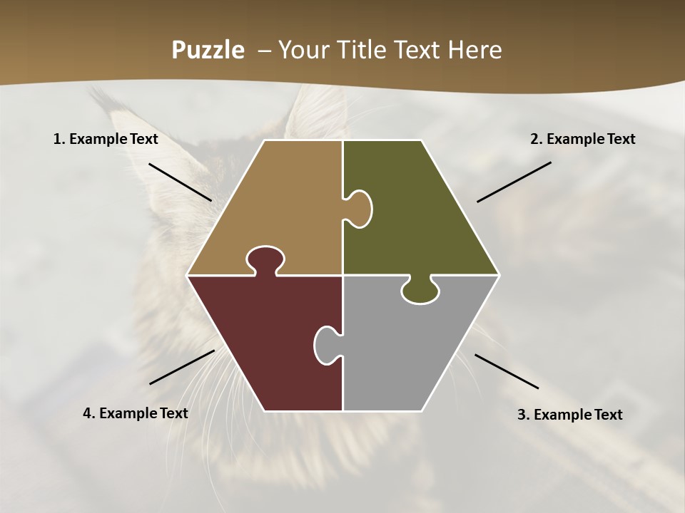 A Cat Sitting On Top Of A Rug In A Room PowerPoint Template