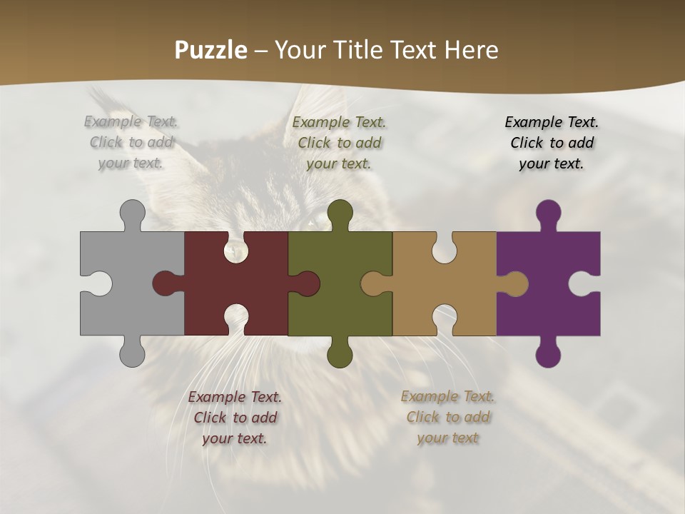 A Cat Sitting On Top Of A Rug In A Room PowerPoint Template