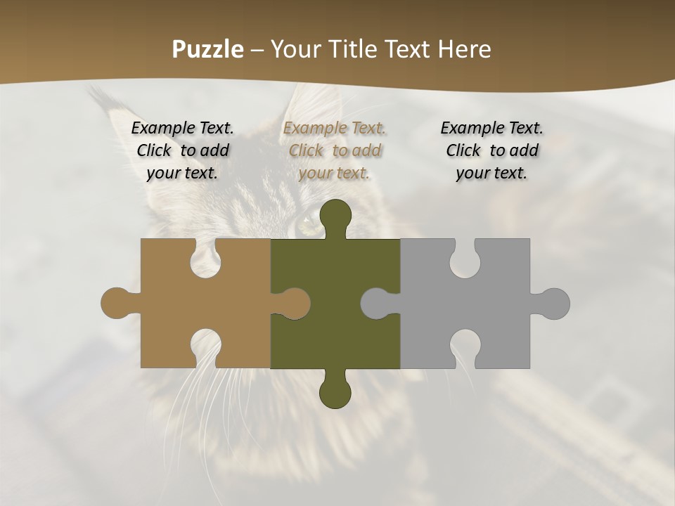 A Cat Sitting On Top Of A Rug In A Room PowerPoint Template