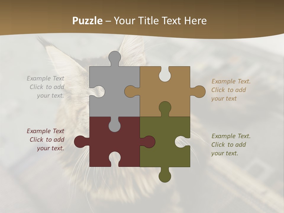 A Cat Sitting On Top Of A Rug In A Room PowerPoint Template