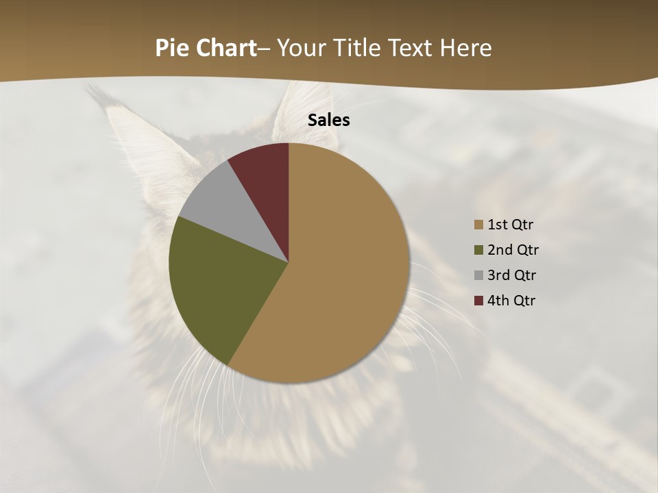 A Cat Sitting On Top Of A Rug In A Room PowerPoint Template