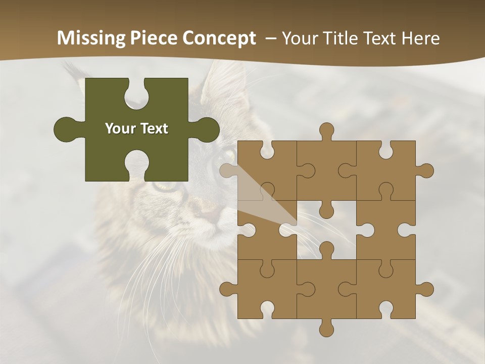 A Cat Sitting On Top Of A Rug In A Room PowerPoint Template