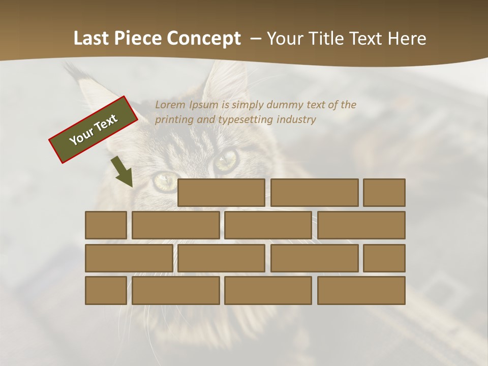 A Cat Sitting On Top Of A Rug In A Room PowerPoint Template