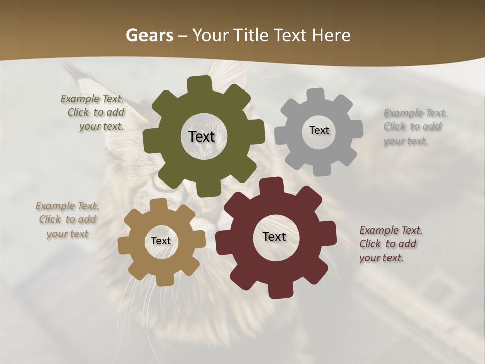 A Cat Sitting On Top Of A Rug In A Room PowerPoint Template