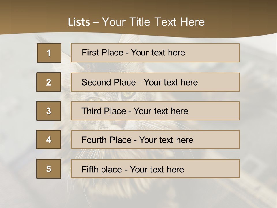 A Cat Sitting On Top Of A Rug In A Room PowerPoint Template