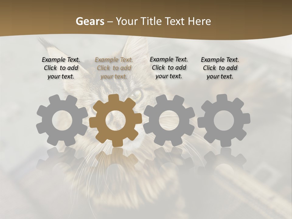 A Cat Sitting On Top Of A Rug In A Room PowerPoint Template