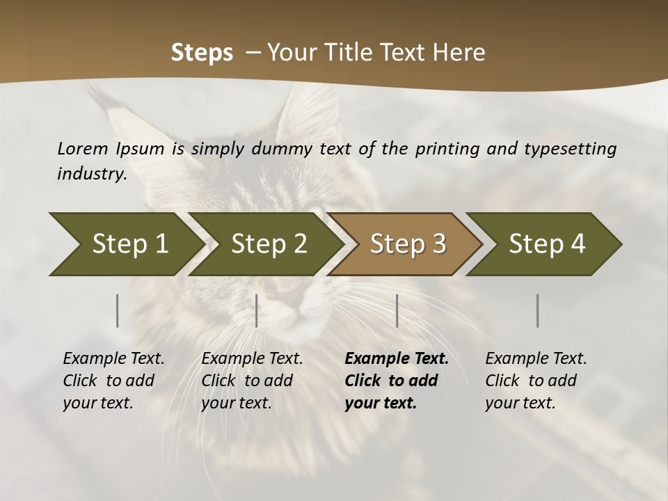 A Cat Sitting On Top Of A Rug In A Room PowerPoint Template