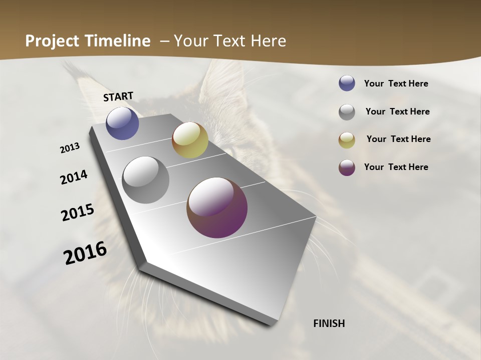 A Cat Sitting On Top Of A Rug In A Room PowerPoint Template