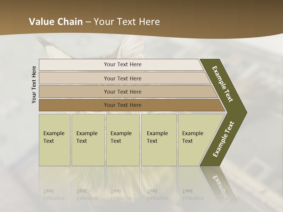 A Cat Sitting On Top Of A Rug In A Room PowerPoint Template