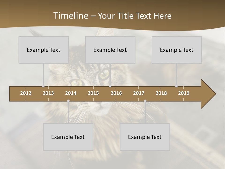 A Cat Sitting On Top Of A Rug In A Room PowerPoint Template