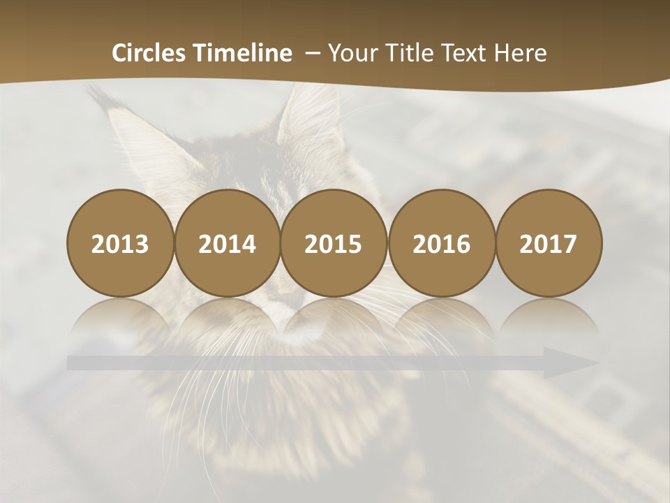 A Cat Sitting On Top Of A Rug In A Room PowerPoint Template