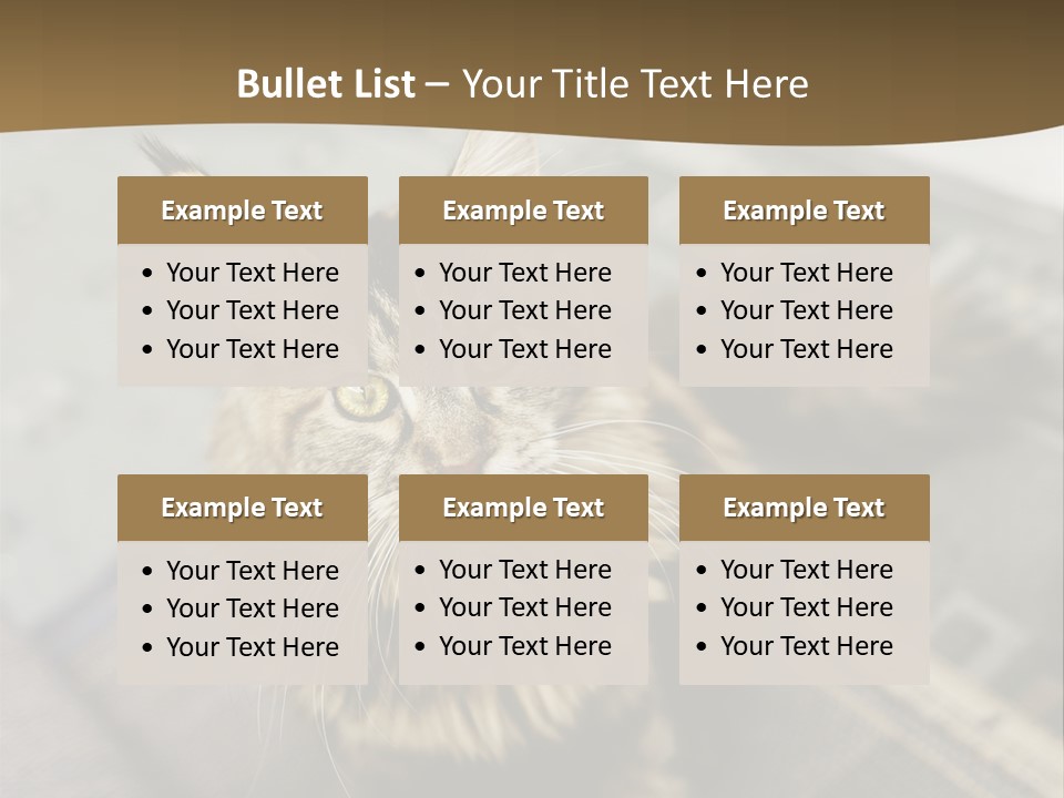 A Cat Sitting On Top Of A Rug In A Room PowerPoint Template