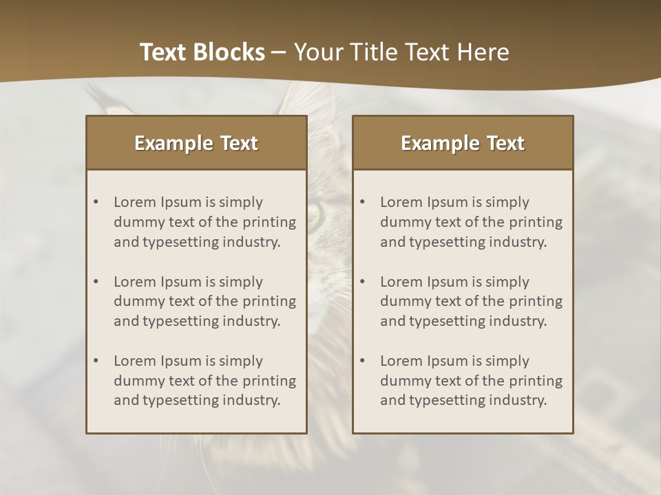 A Cat Sitting On Top Of A Rug In A Room PowerPoint Template