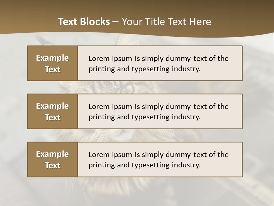 A Cat Sitting On Top Of A Rug In A Room PowerPoint Template