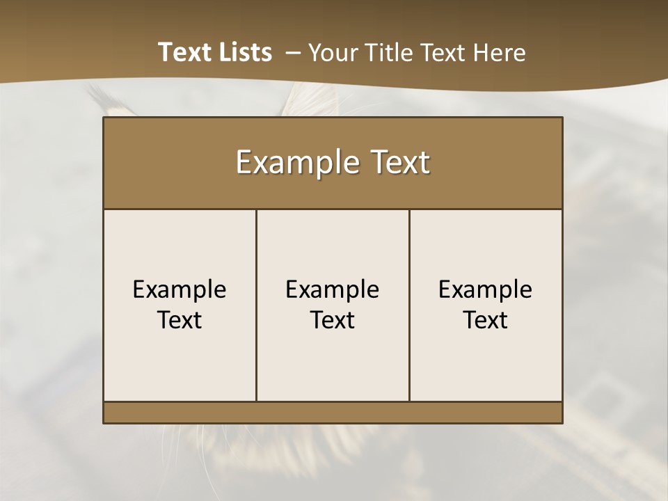 A Cat Sitting On Top Of A Rug In A Room PowerPoint Template