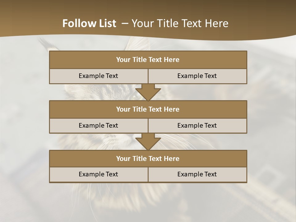 A Cat Sitting On Top Of A Rug In A Room PowerPoint Template