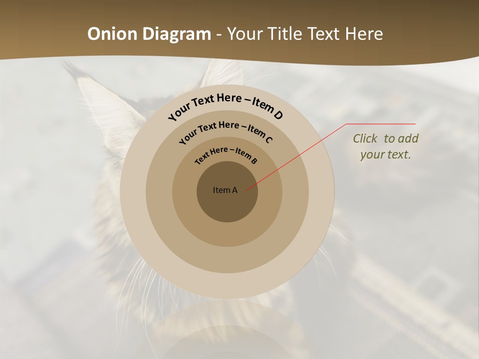 A Cat Sitting On Top Of A Rug In A Room PowerPoint Template