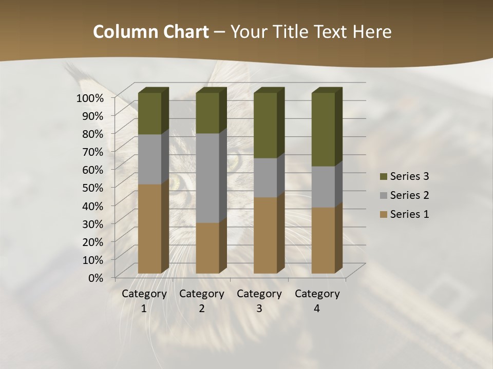A Cat Sitting On Top Of A Rug In A Room PowerPoint Template