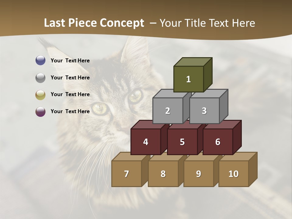 A Cat Sitting On Top Of A Rug In A Room PowerPoint Template