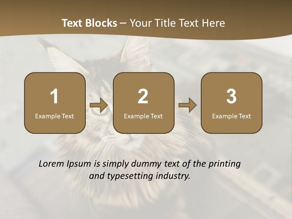 A Cat Sitting On Top Of A Rug In A Room PowerPoint Template