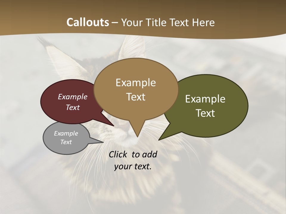 A Cat Sitting On Top Of A Rug In A Room PowerPoint Template