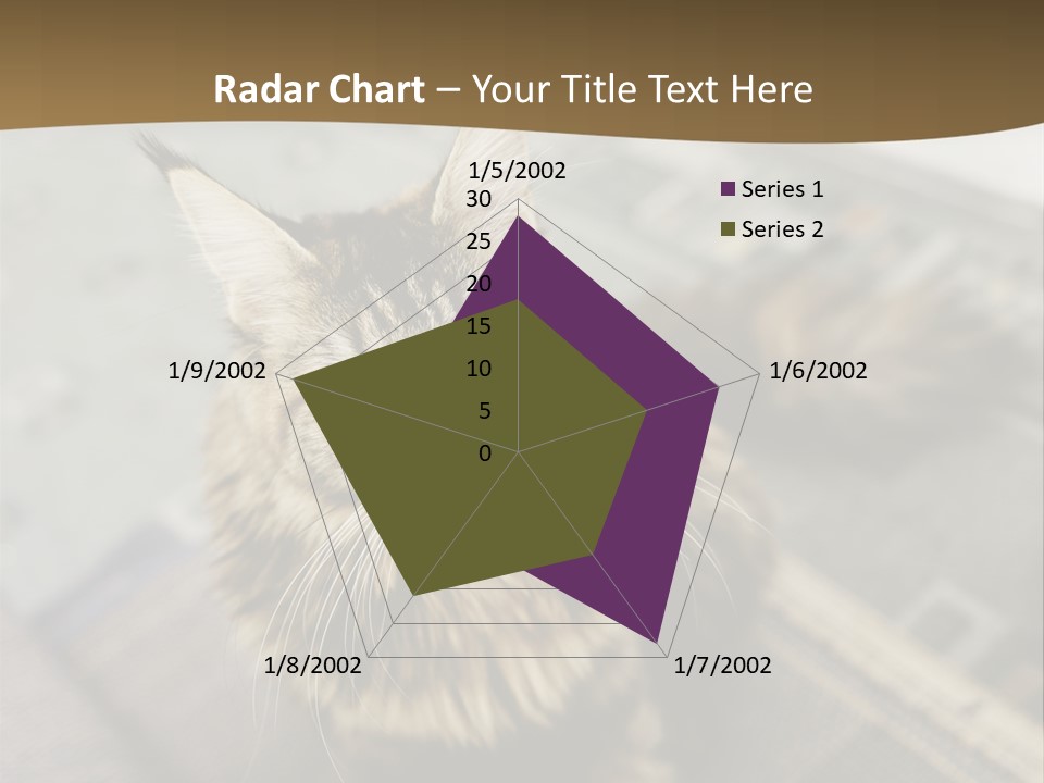 A Cat Sitting On Top Of A Rug In A Room PowerPoint Template