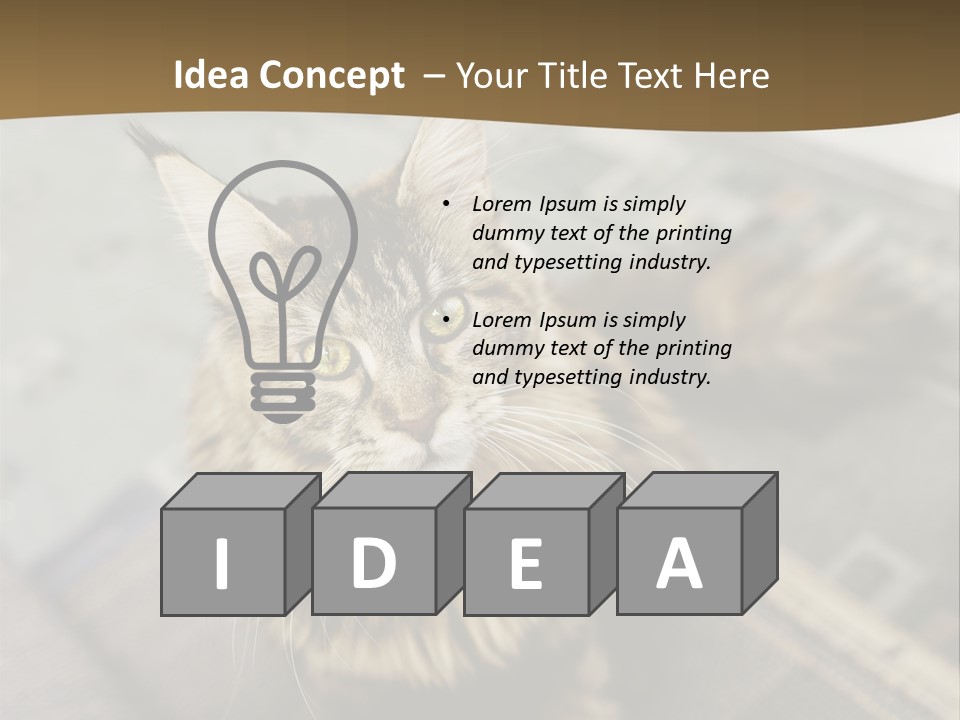 A Cat Sitting On Top Of A Rug In A Room PowerPoint Template