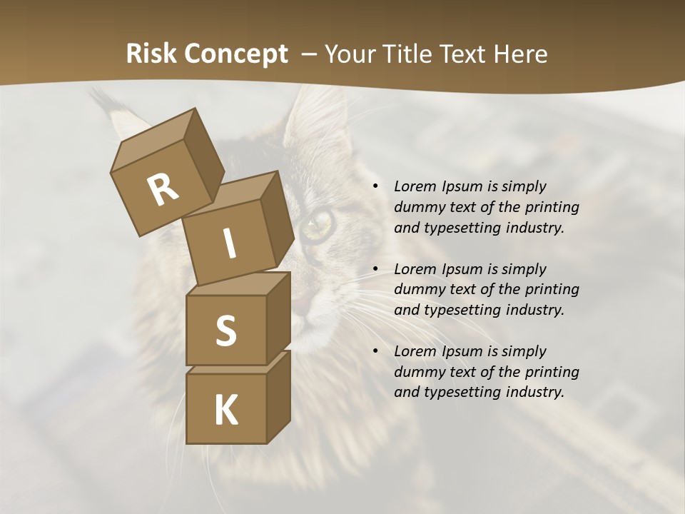 A Cat Sitting On Top Of A Rug In A Room PowerPoint Template