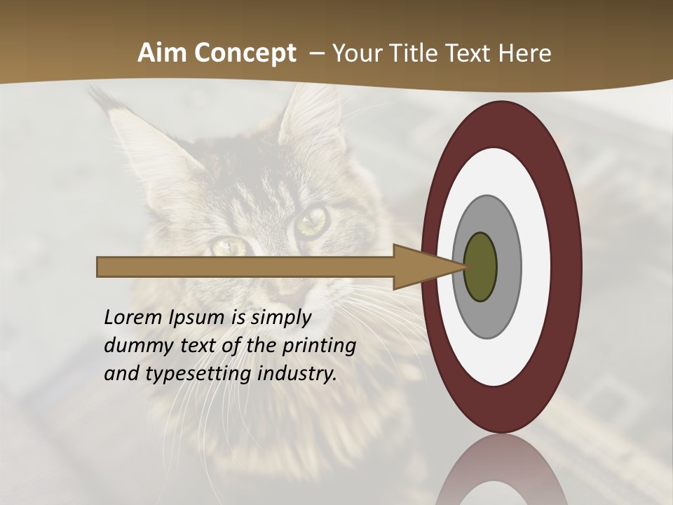 A Cat Sitting On Top Of A Rug In A Room PowerPoint Template