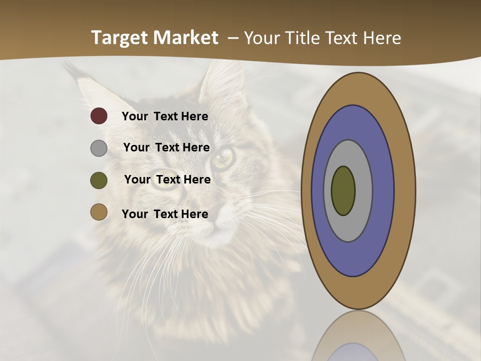 A Cat Sitting On Top Of A Rug In A Room PowerPoint Template