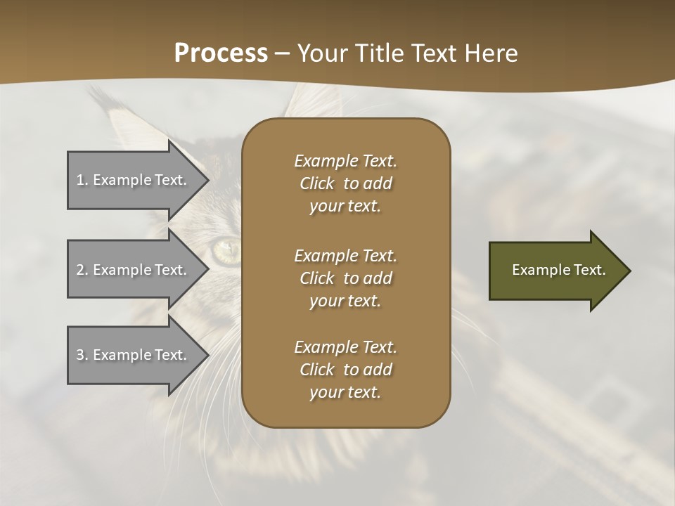A Cat Sitting On Top Of A Rug In A Room PowerPoint Template