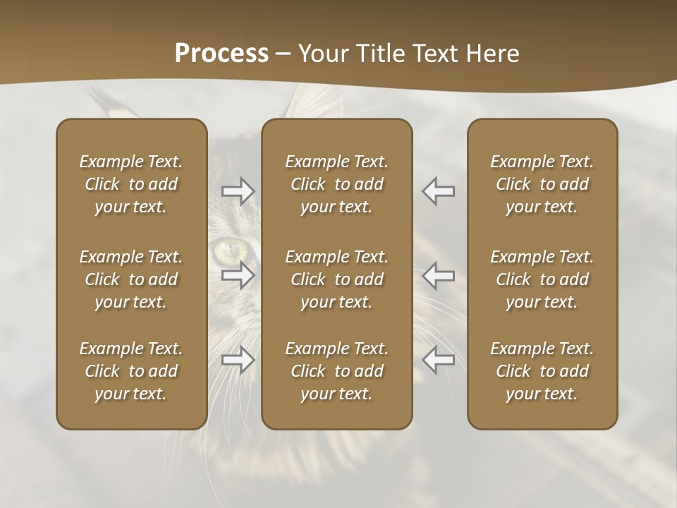 A Cat Sitting On Top Of A Rug In A Room PowerPoint Template